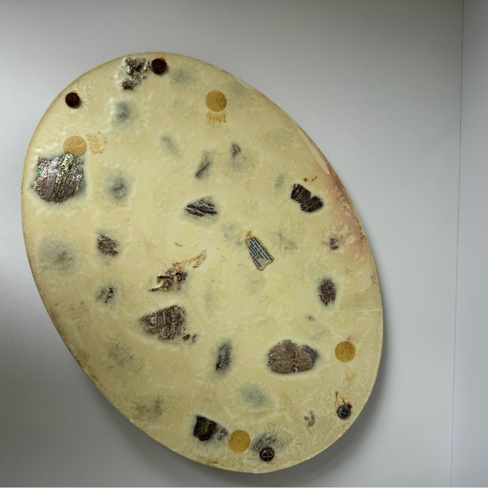 Large Vintage white abalone tray - Picture 5 of 9